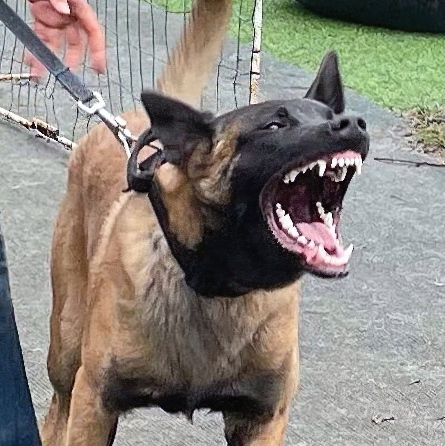 Beast6