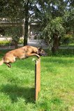 demitraining2