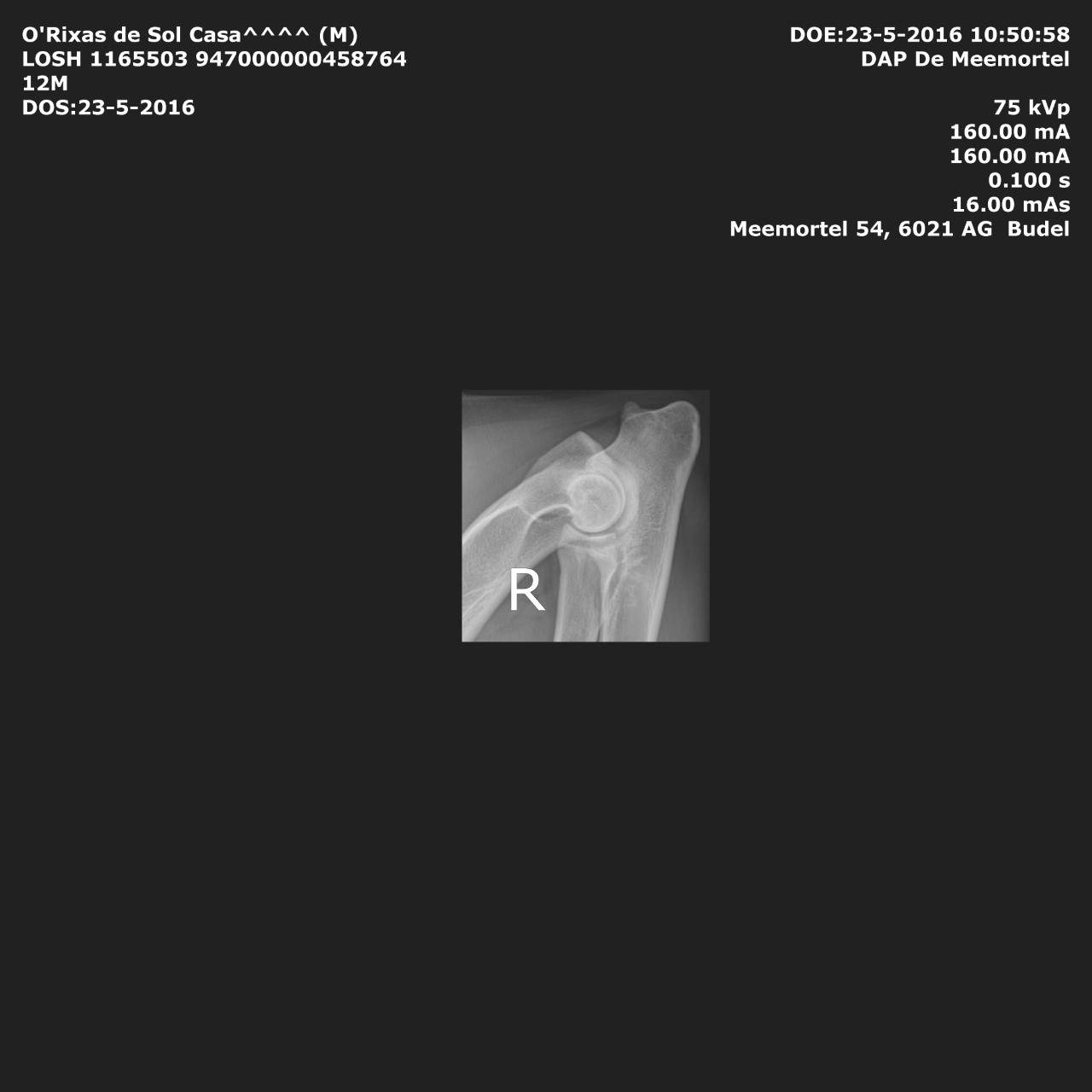 orixasEDr1