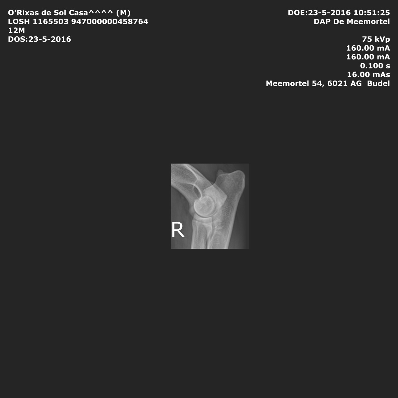 orixasEDr2