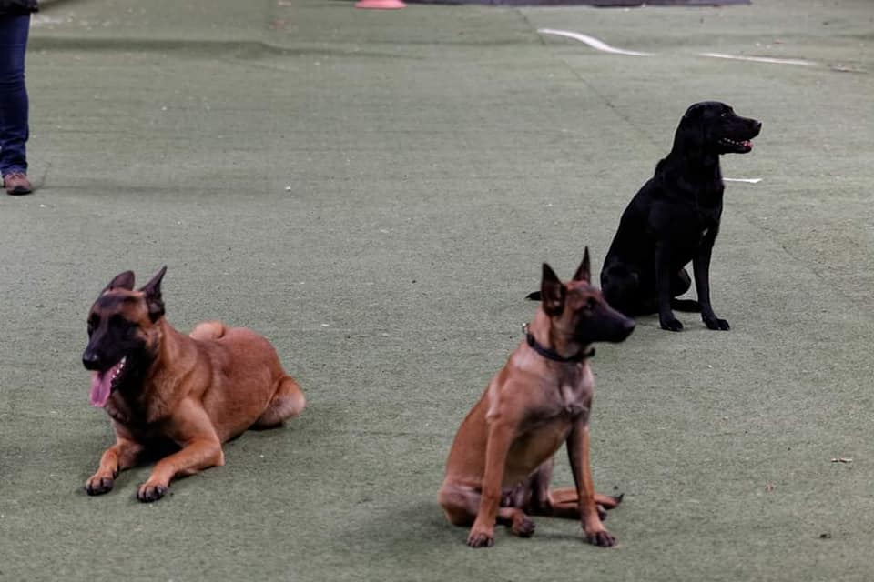 training3