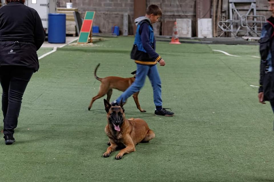 training4