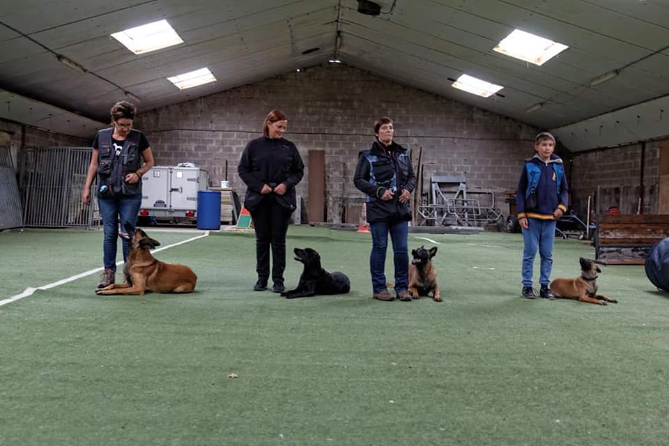 training5