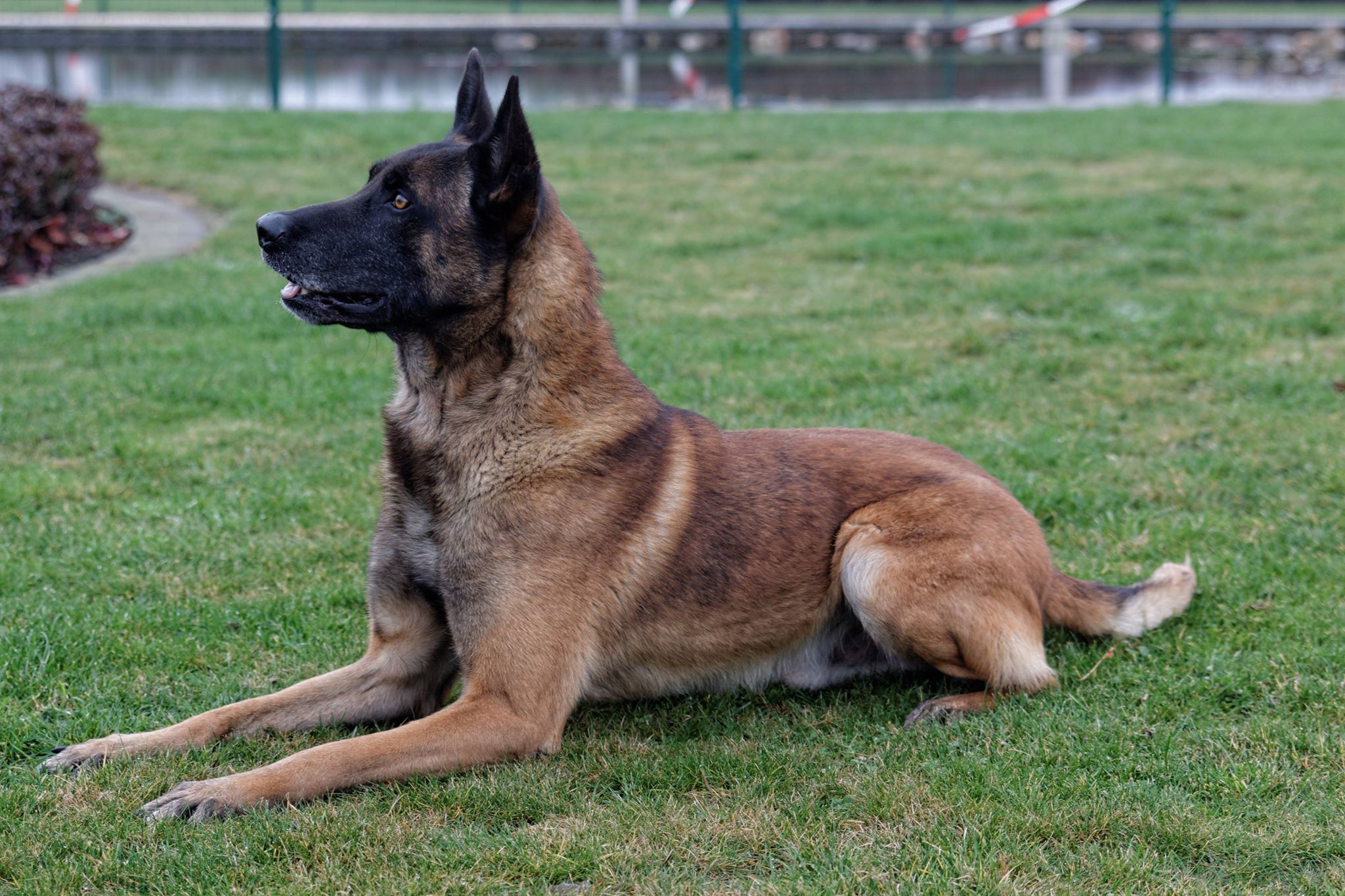 jurko1