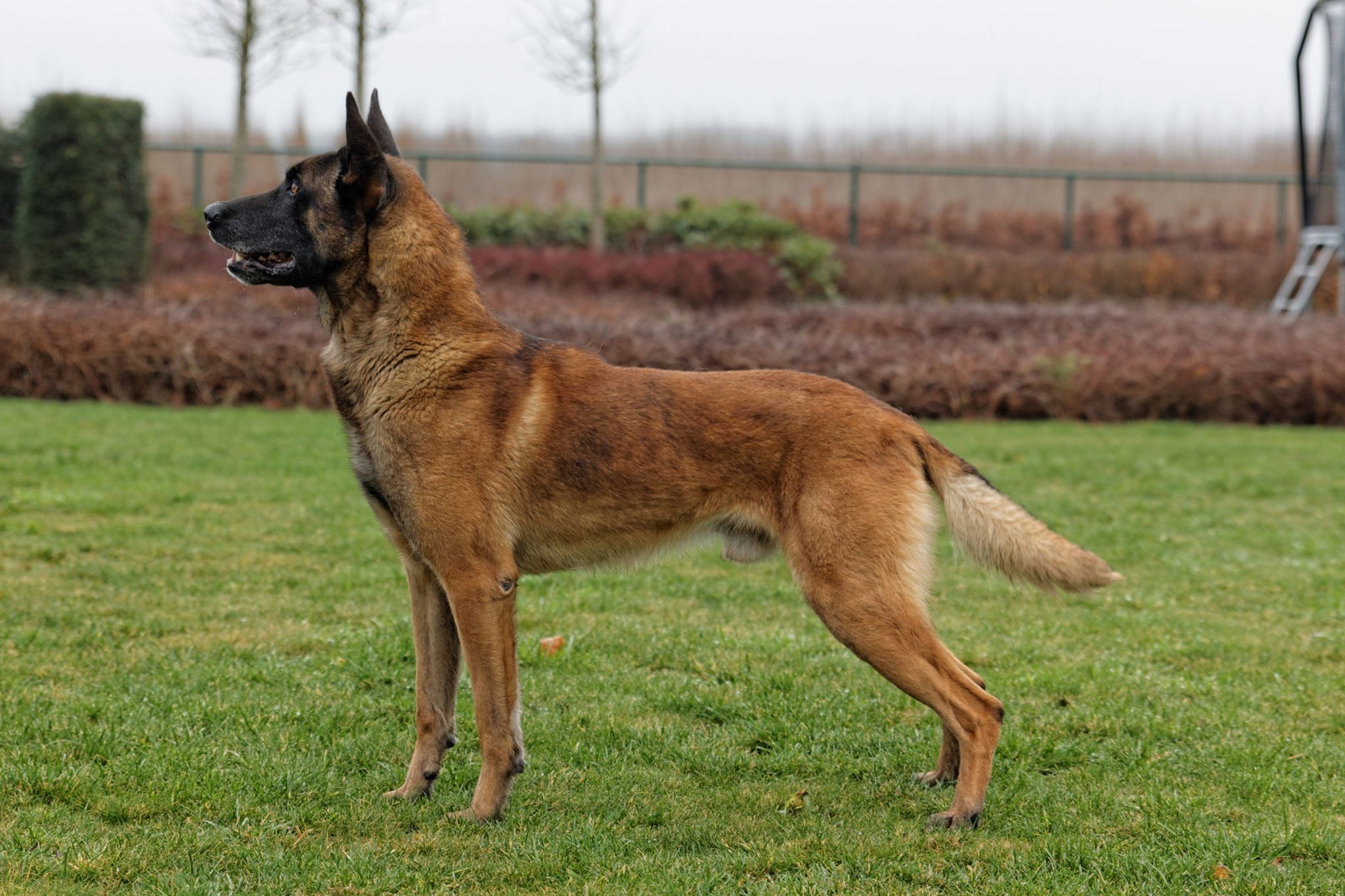 jurko2