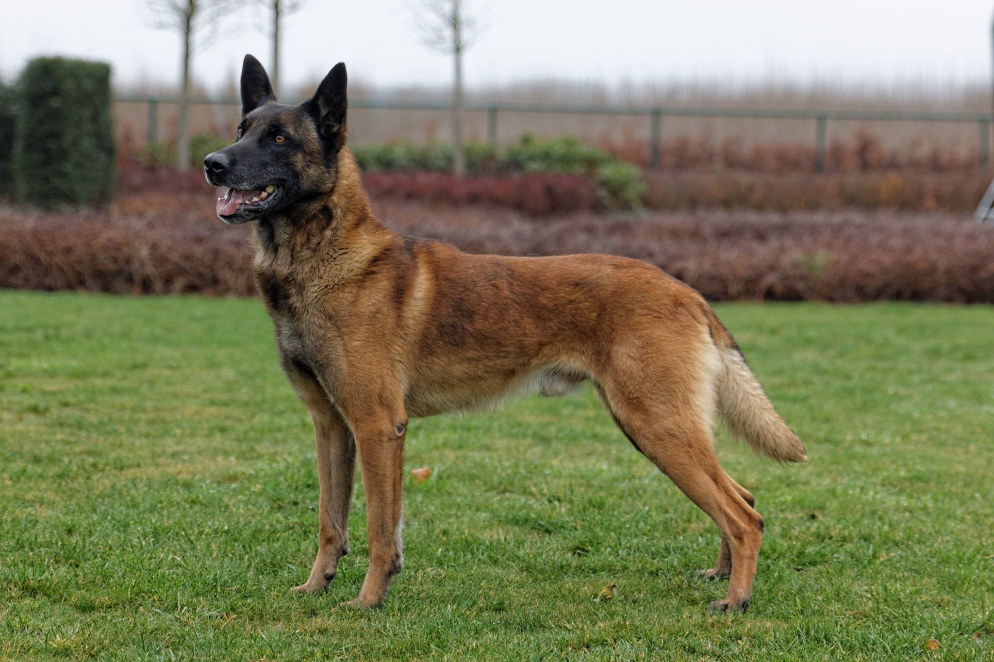 jurko3