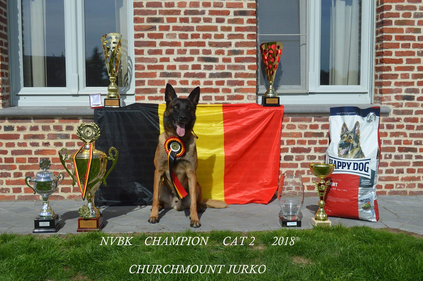 jurko4