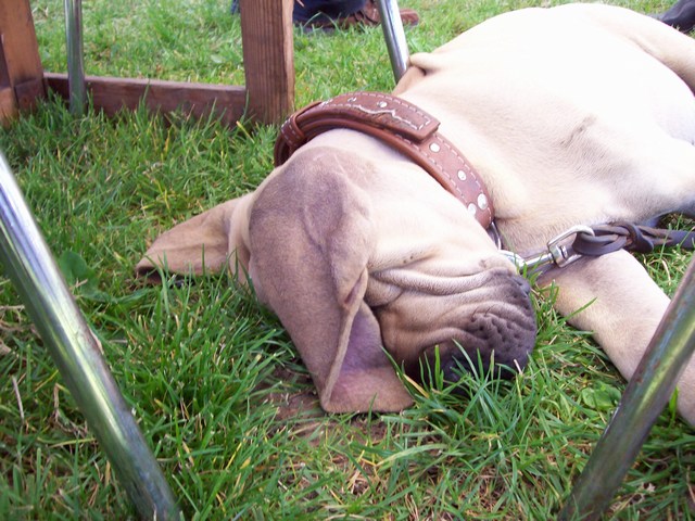 mini-dunasleeping