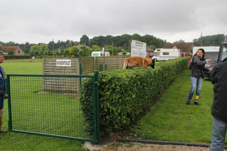 veldwerk3