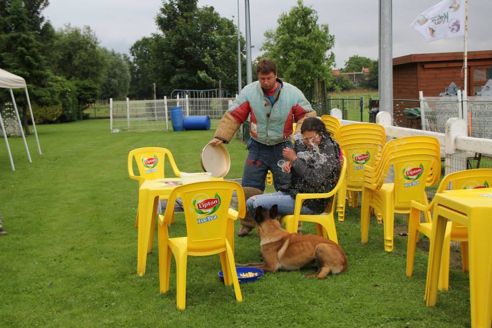 veldwerk4