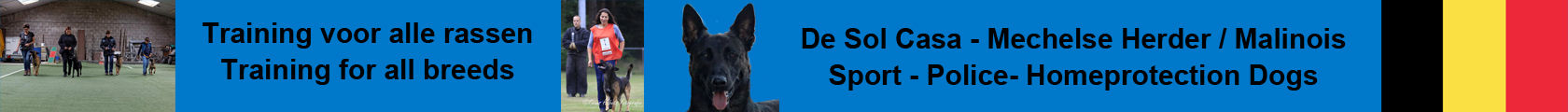 nieuw logo 2020v2