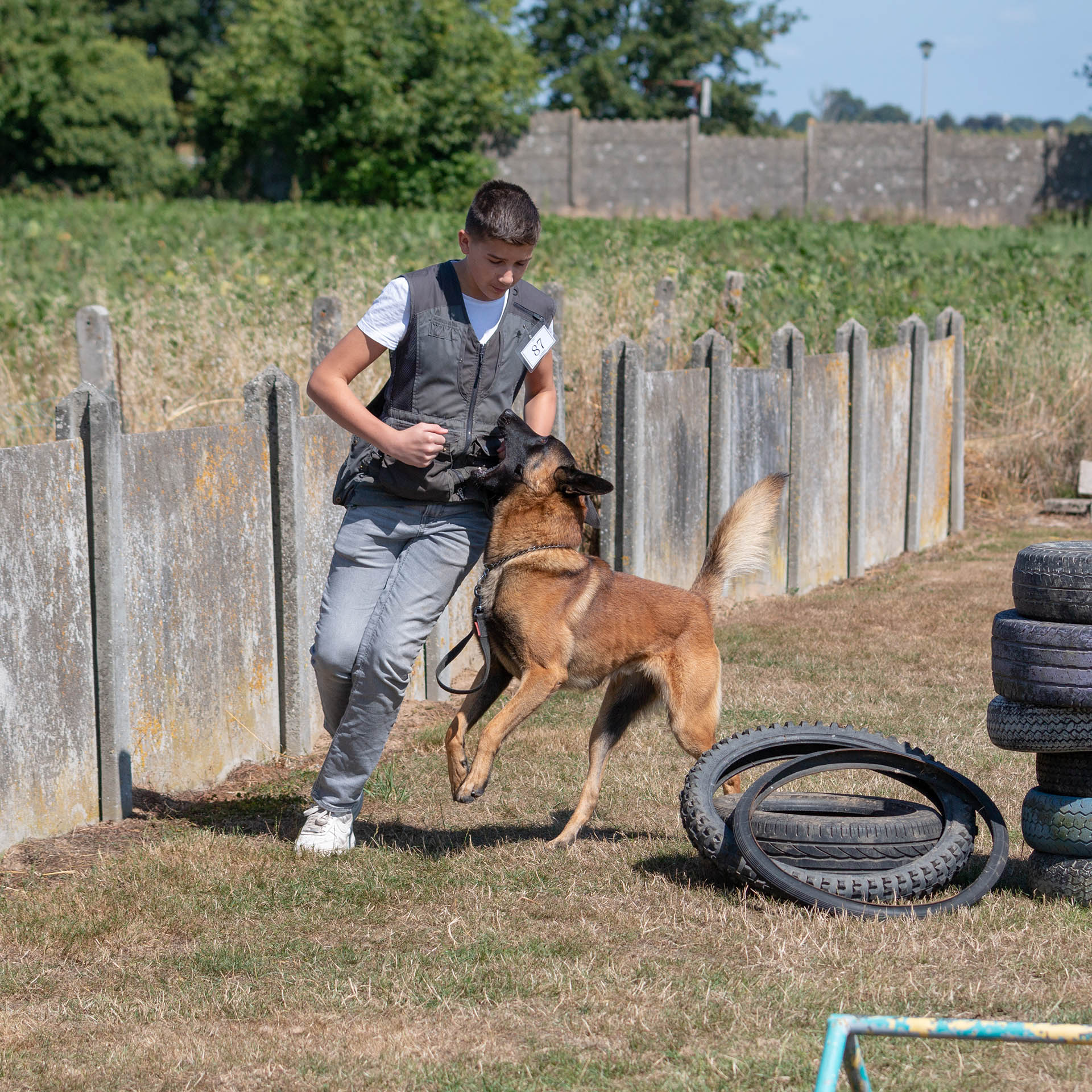 DSC-K9 Academy Dog Training Breeder Malinois/German Shepherd